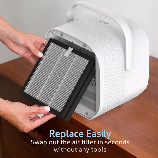 PureZoneTM True HEPA Air Purifier (PEAIRCB) - Ersatzfilter