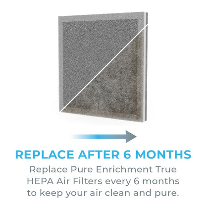 PureZoneTM True HEPA Air Purifier (PEAIRPLG) - 2er-Packung-Ersatzfilter