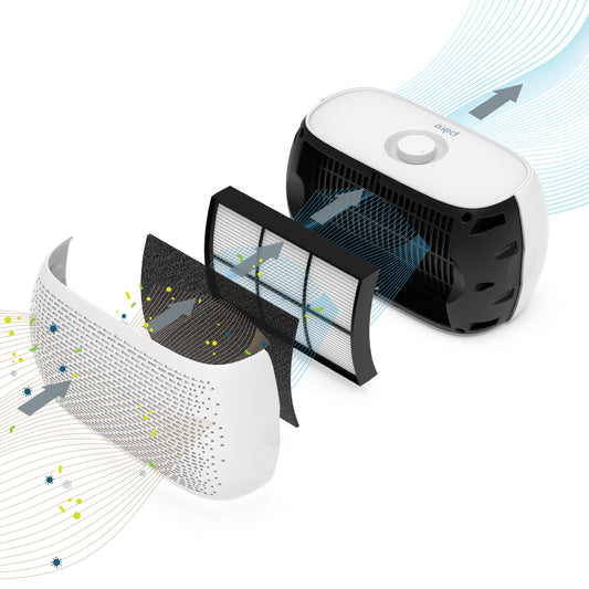 PureZoneTM Breeze Tabletop Luftreiniger & Ersatzfilterbündel