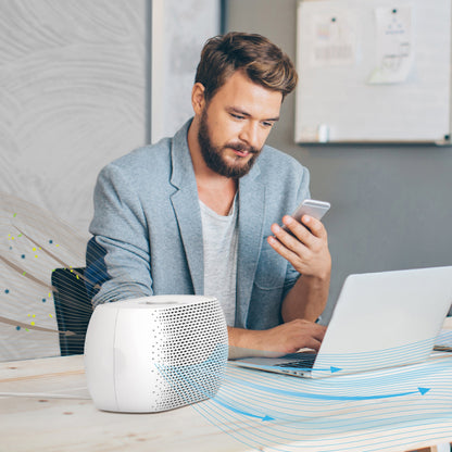 PureZoneTM Breeze Tabletop Luftreiniger & Ersatzfilterbündel