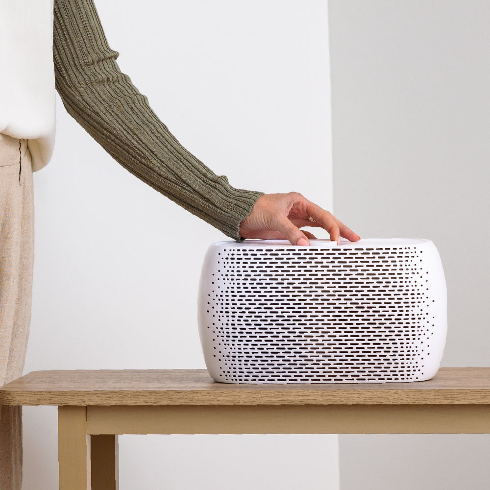 PureZoneTM Breeze Air Purifier (PECOMPAP) - Ersatzfilter