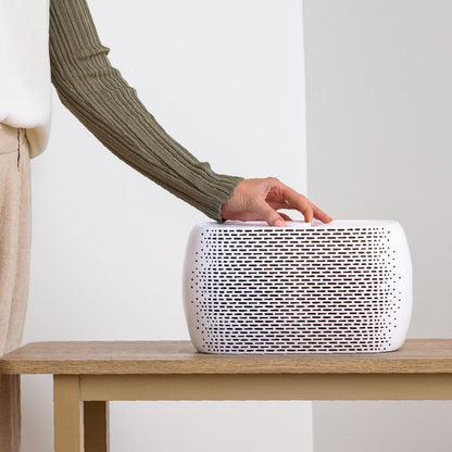 PureZoneTM Breeze Air Purifier (PECOMPAP) - Ersatzfilter