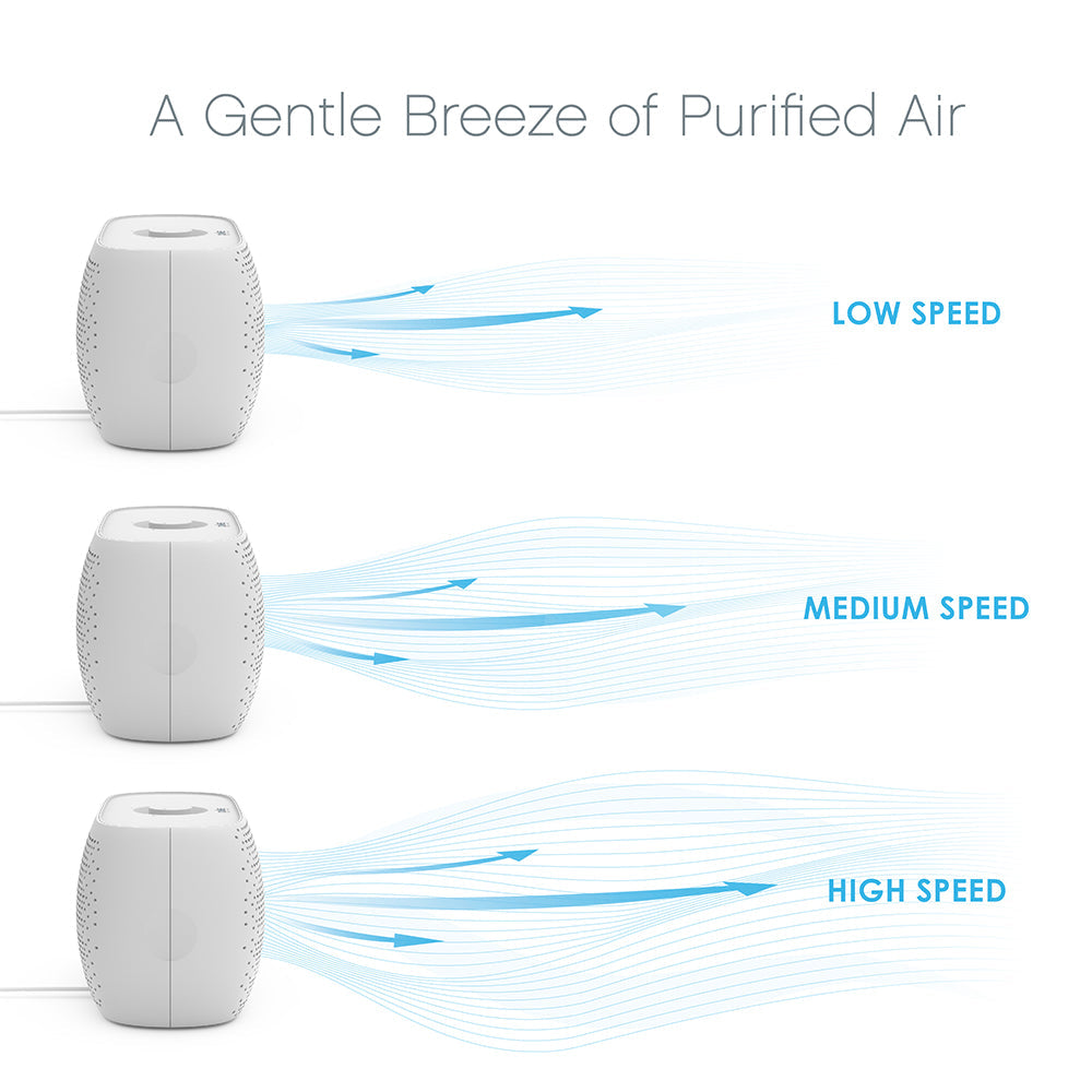 PureZoneTM Breeze Tabletop Luftreiniger